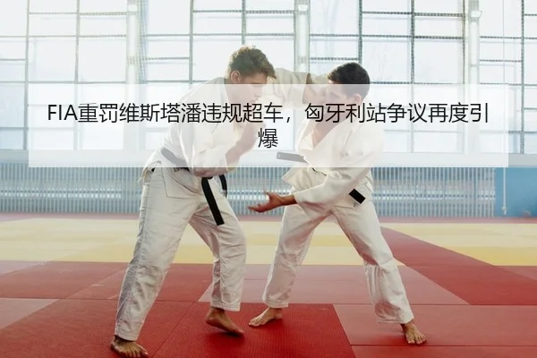 FIA重罚维斯塔潘违规超车，匈牙利站争议再度引爆